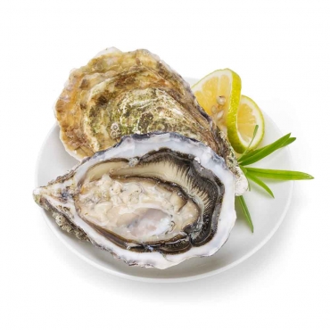 鲜活法国安之莲生蚝